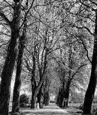 Avenue de la gare